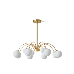 Apiales Chandelier
