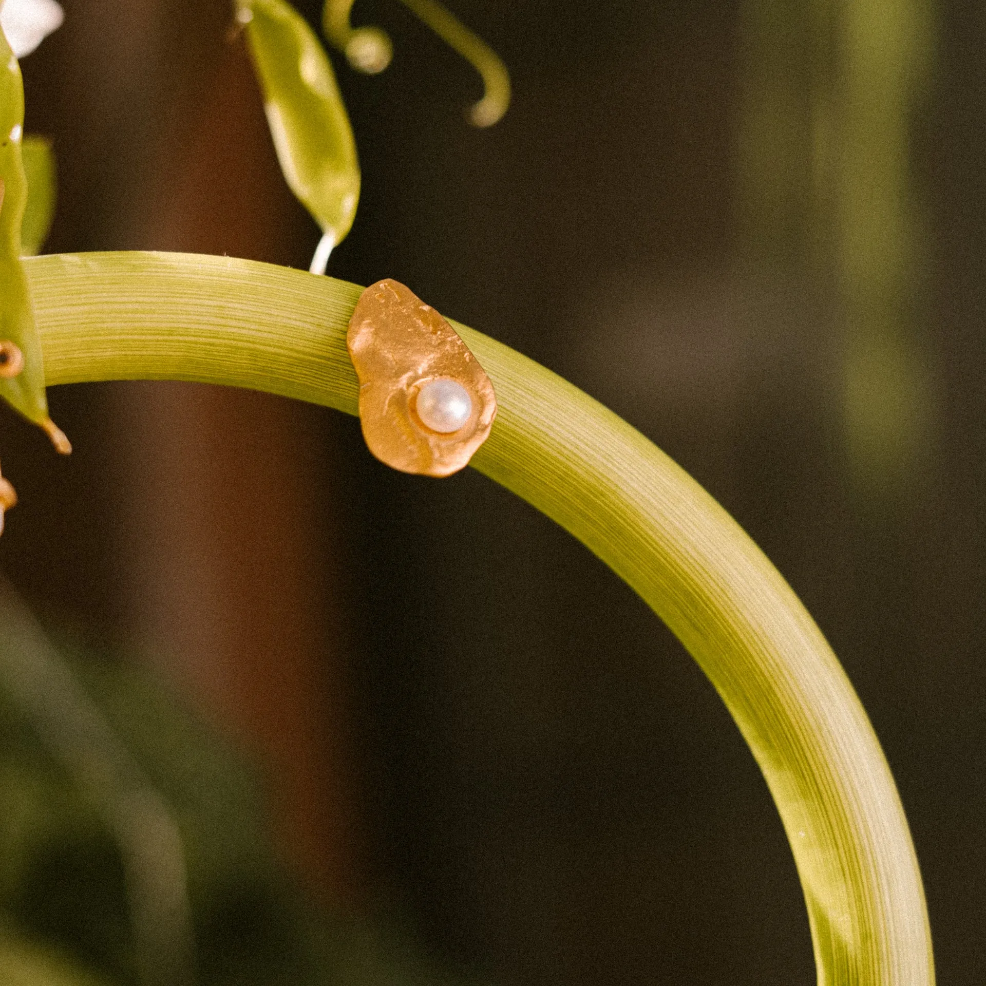 Beringela Earrings