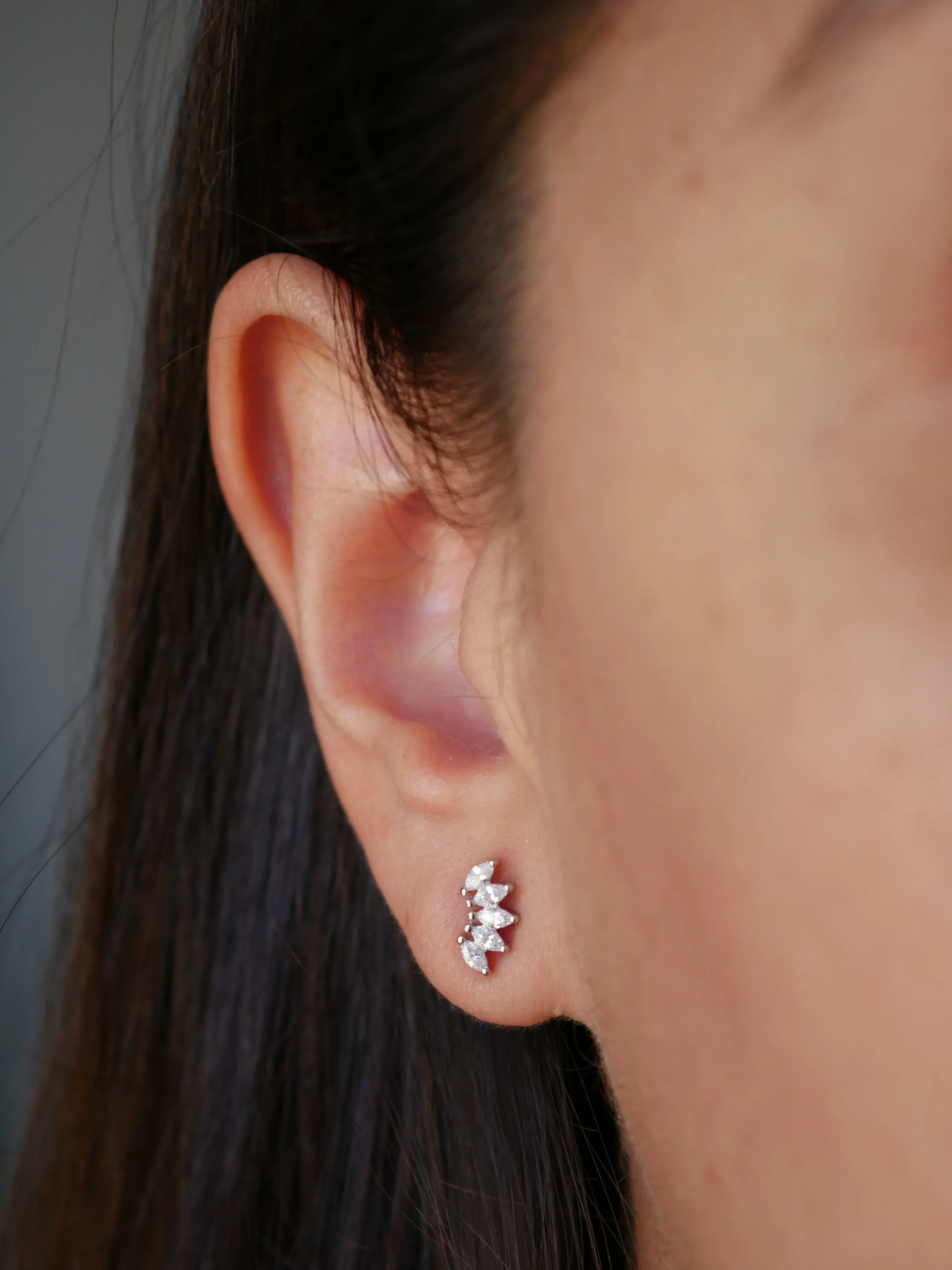 Crown Stud Earrings, .925 Sterling Silver Hypoallergenic Waterproof  Diamond Cubic Zirconia Luxury Stud Earrings