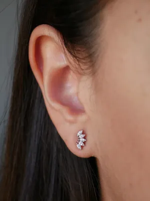 Crown Stud Earrings, .925 Sterling Silver Hypoallergenic Waterproof  Diamond Cubic Zirconia Luxury Stud Earrings