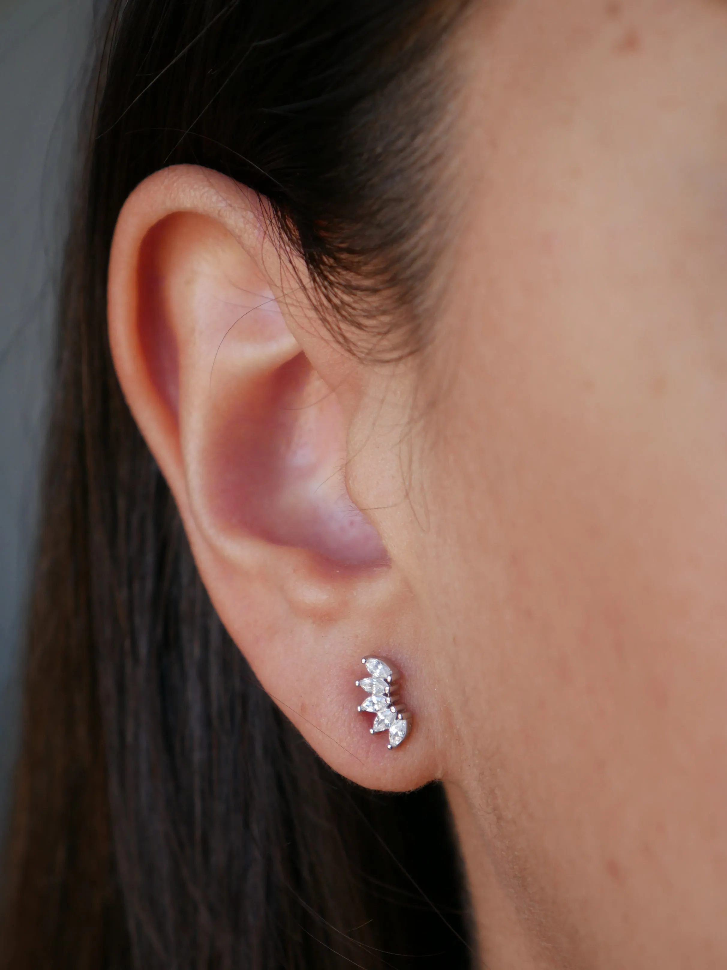 Crown Stud Earrings, .925 Sterling Silver Hypoallergenic Waterproof  Diamond Cubic Zirconia Luxury Stud Earrings