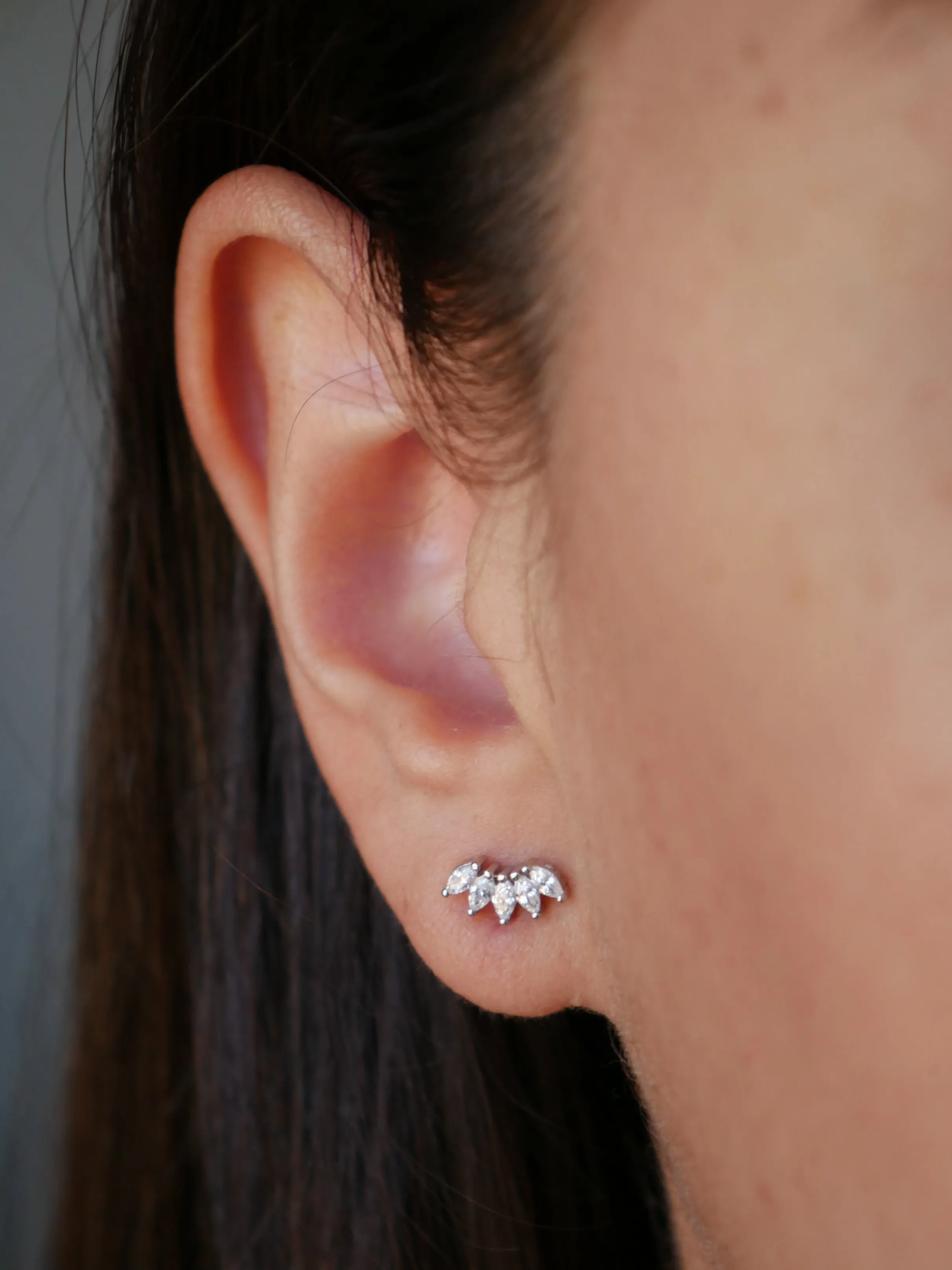 Crown Stud Earrings, .925 Sterling Silver Hypoallergenic Waterproof  Diamond Cubic Zirconia Luxury Stud Earrings