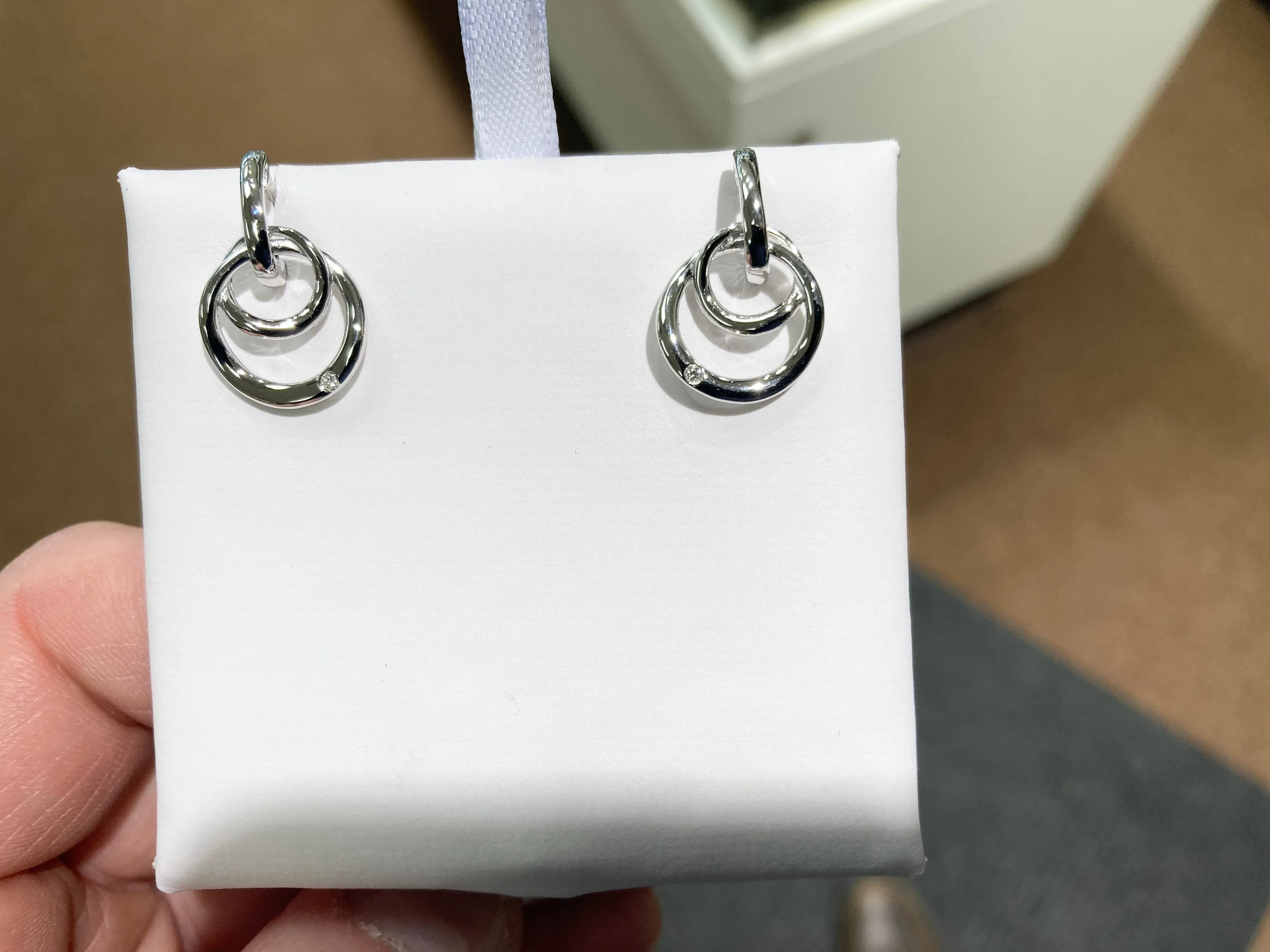 Diamond Silver Circle Earrings