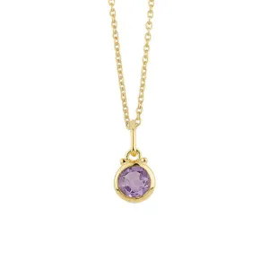 February Birthstone Charm Necklace