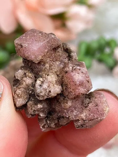 Pink Garnet Clusters