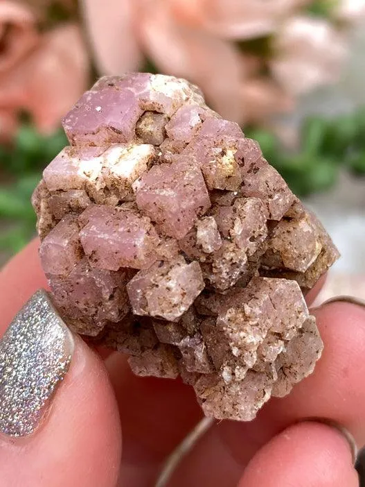 Pink Garnet Clusters