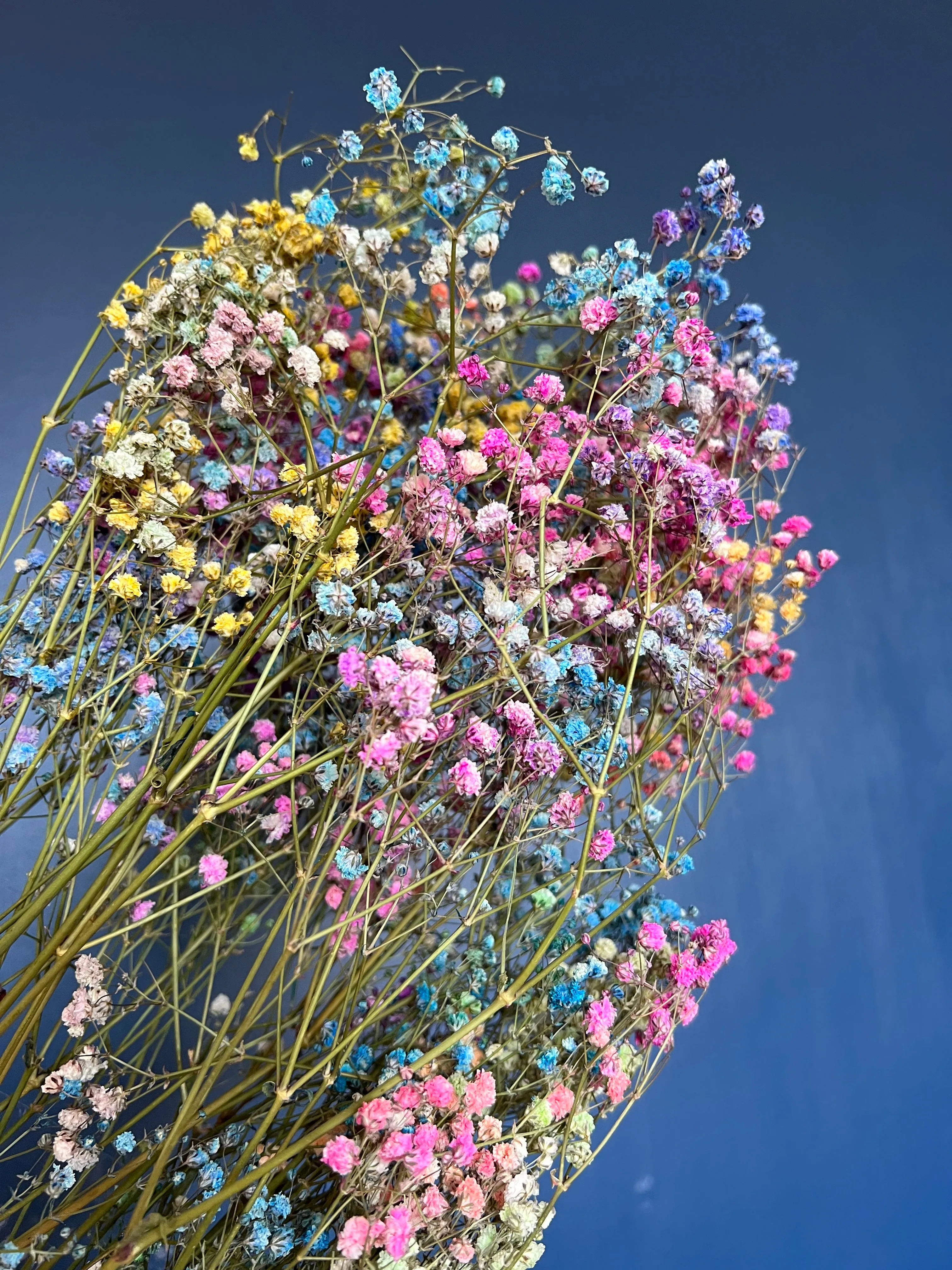 Rainbow Flower Wreath, Colourful Babys Breath Flower Girl Halo Crown Gypsophila, Dried Real Flower Hair Accessories, Floral Hair Piece