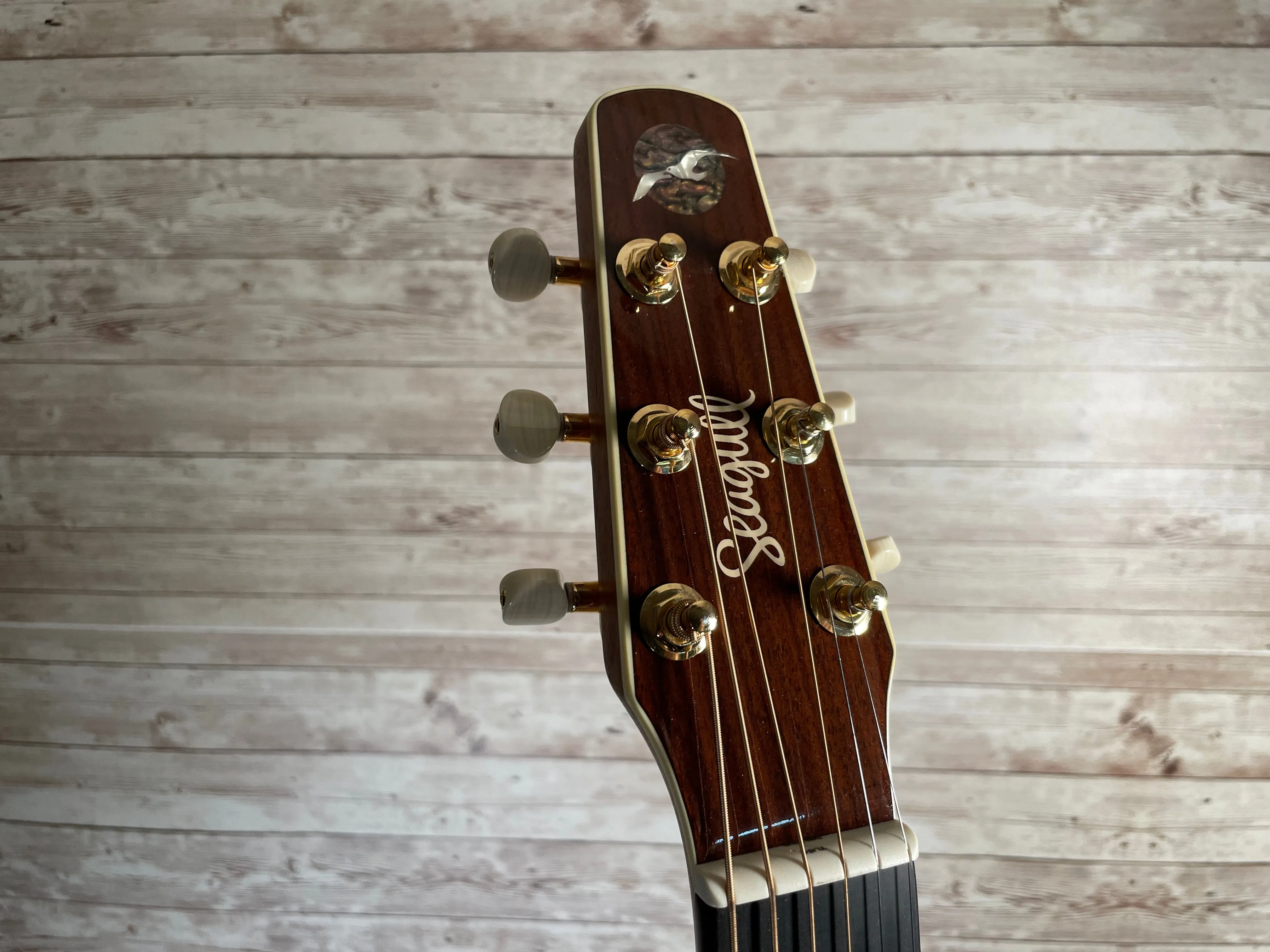 Seagull Artist Studio CW Deluxe Element CF Used