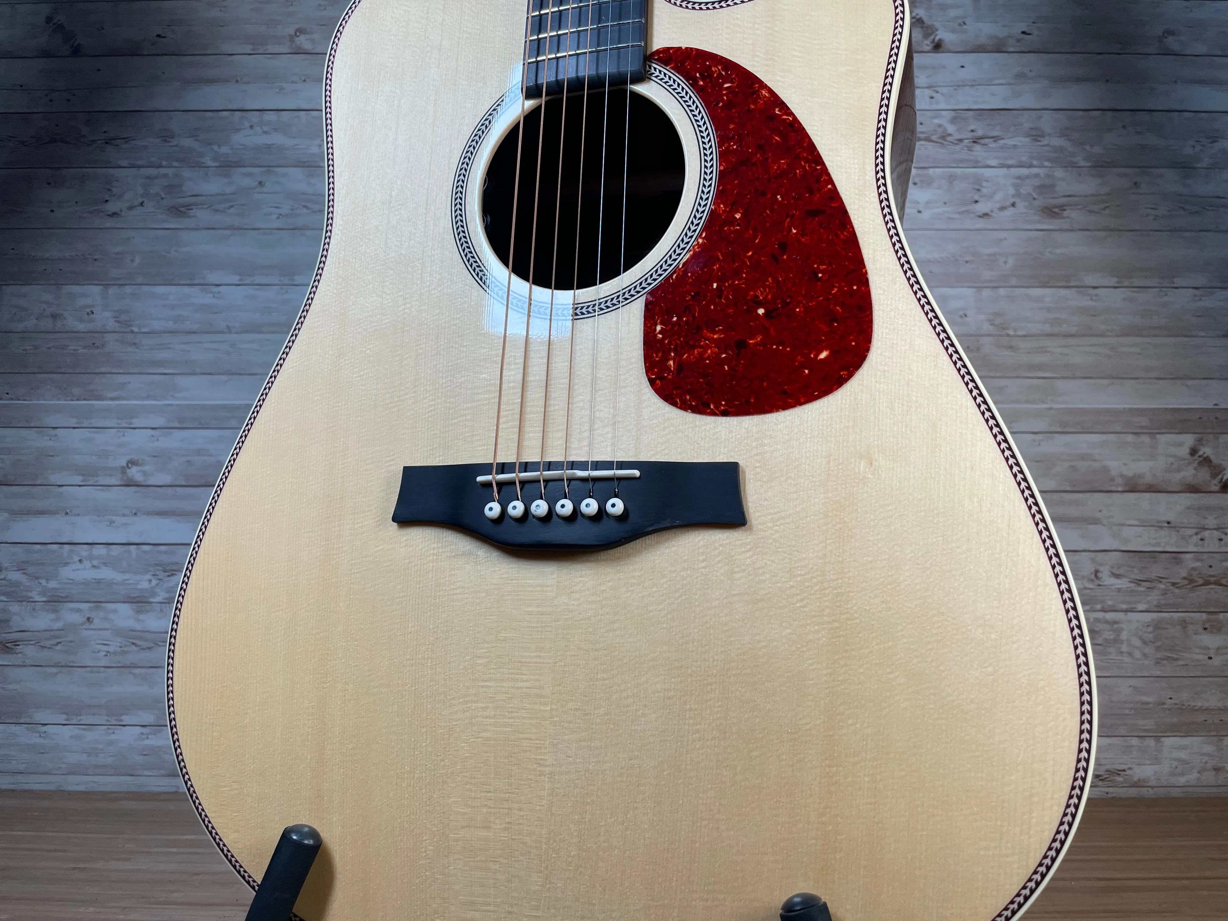 Seagull Artist Studio CW Deluxe Element CF Used