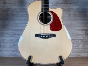 Seagull Artist Studio CW Deluxe Element CF Used