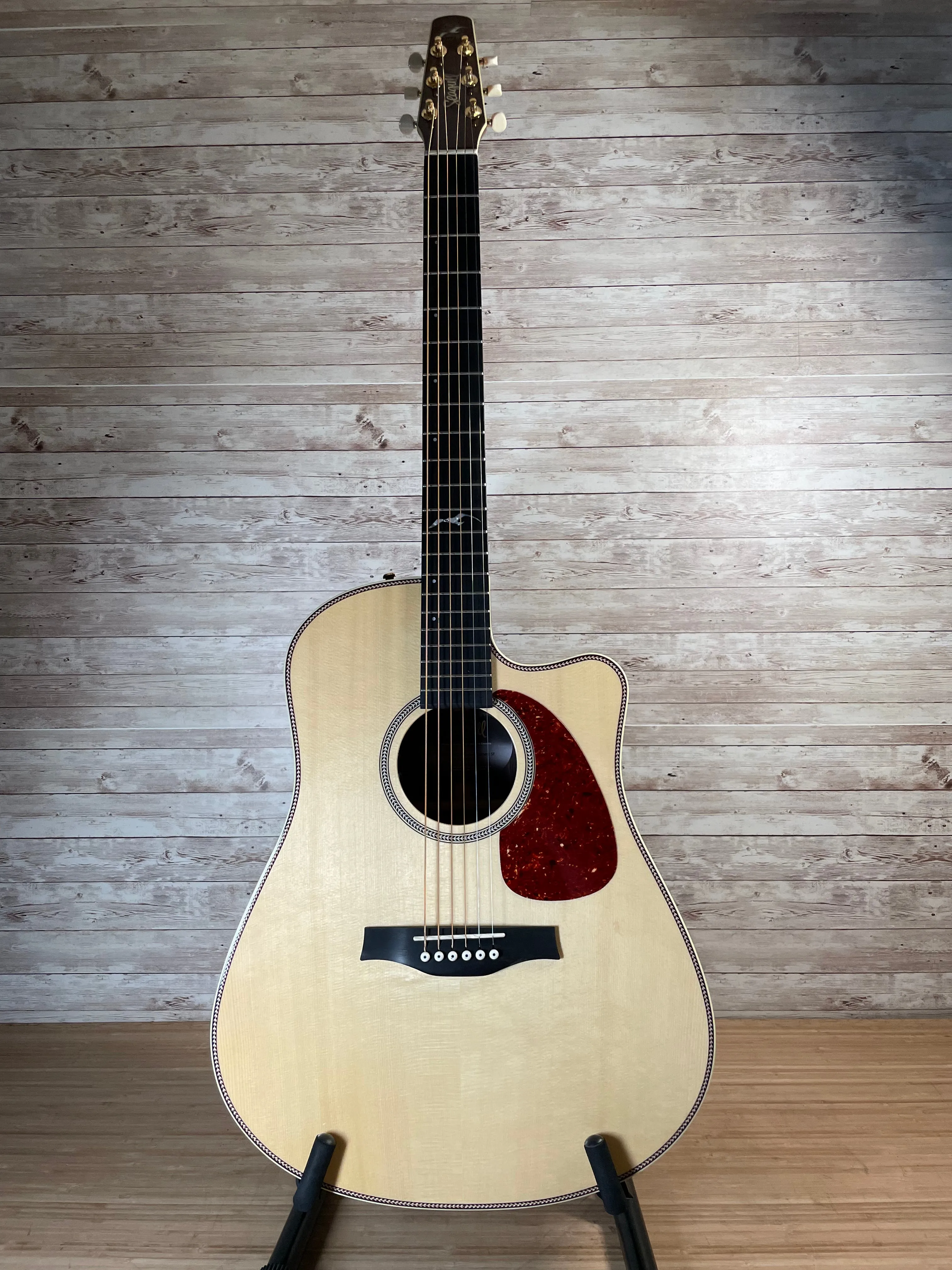 Seagull Artist Studio CW Deluxe Element CF Used
