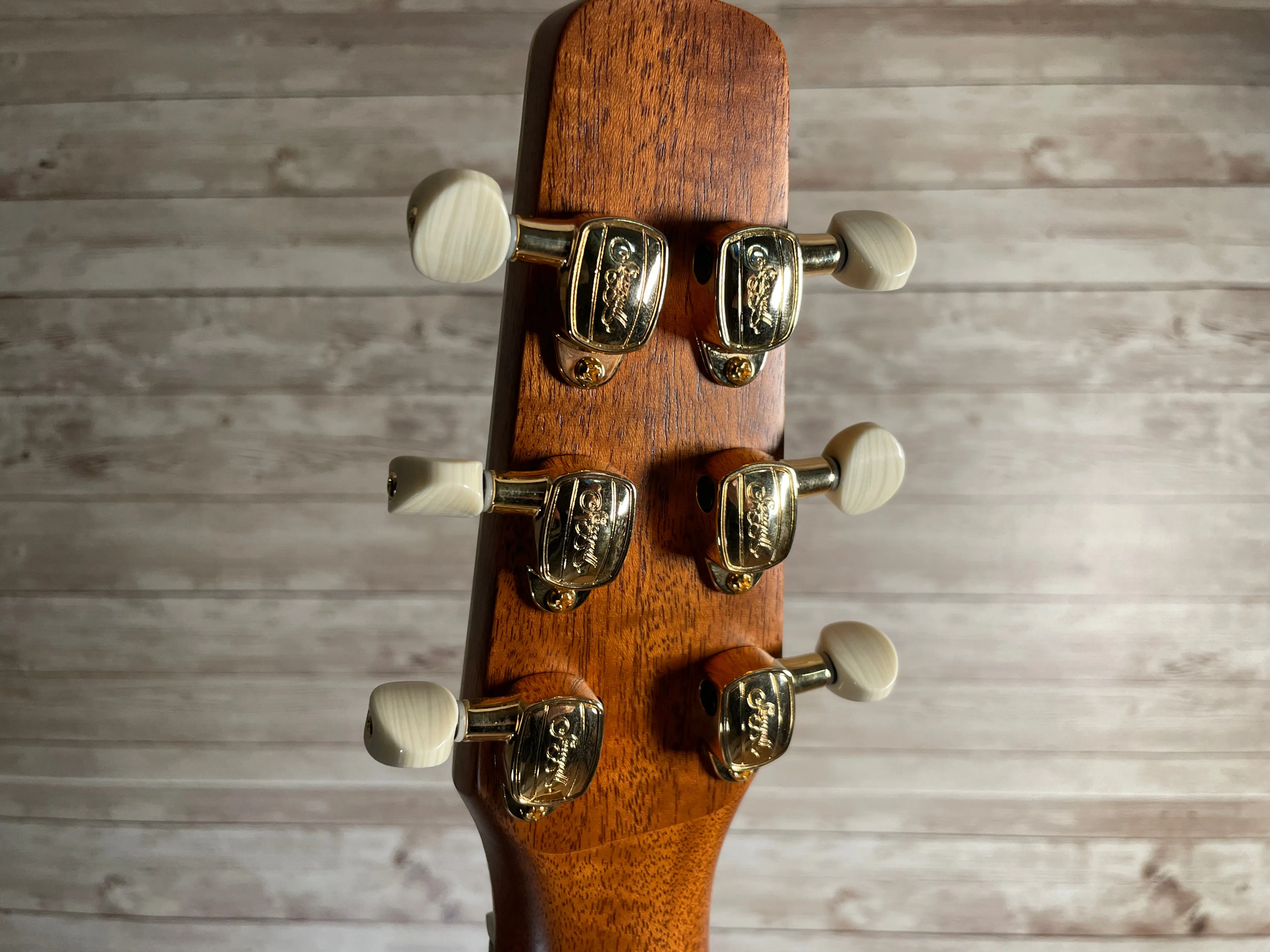 Seagull Artist Studio CW Deluxe Element CF Used