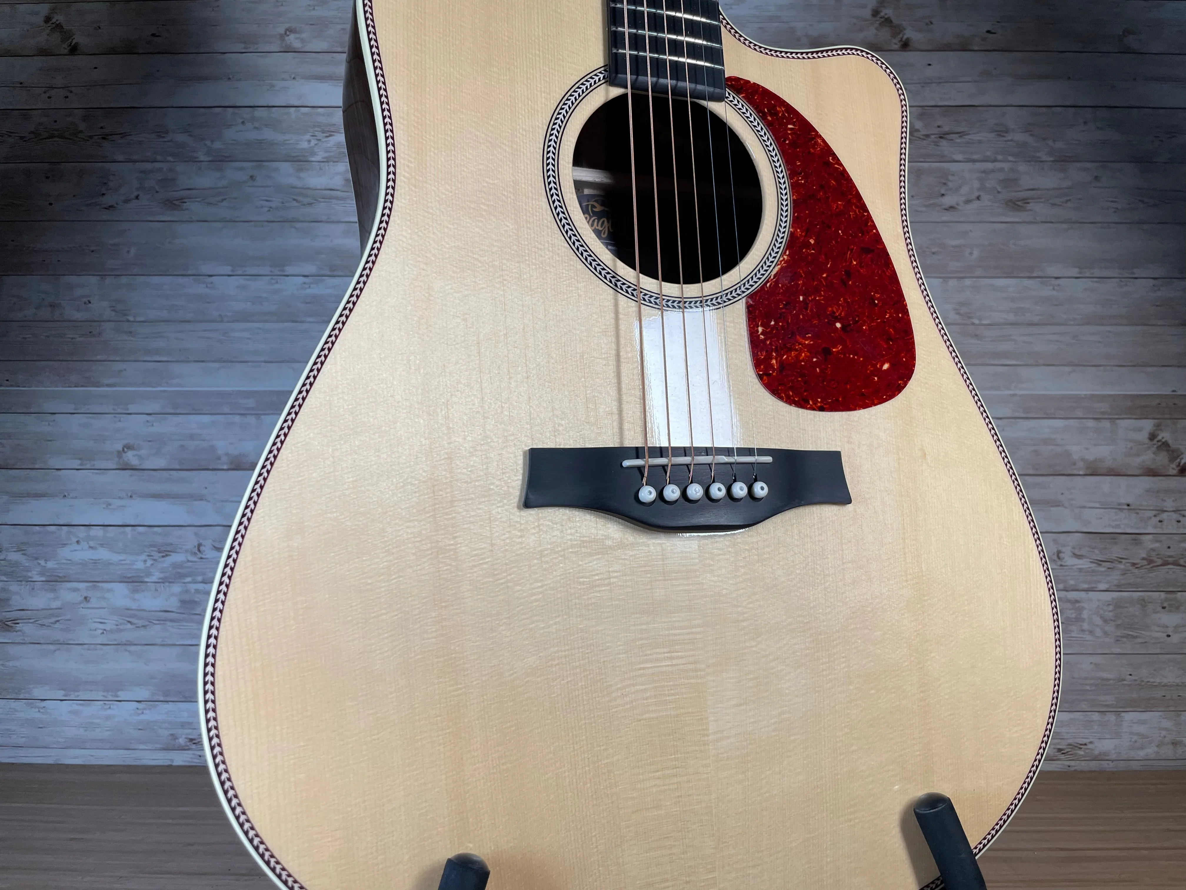 Seagull Artist Studio CW Deluxe Element CF Used