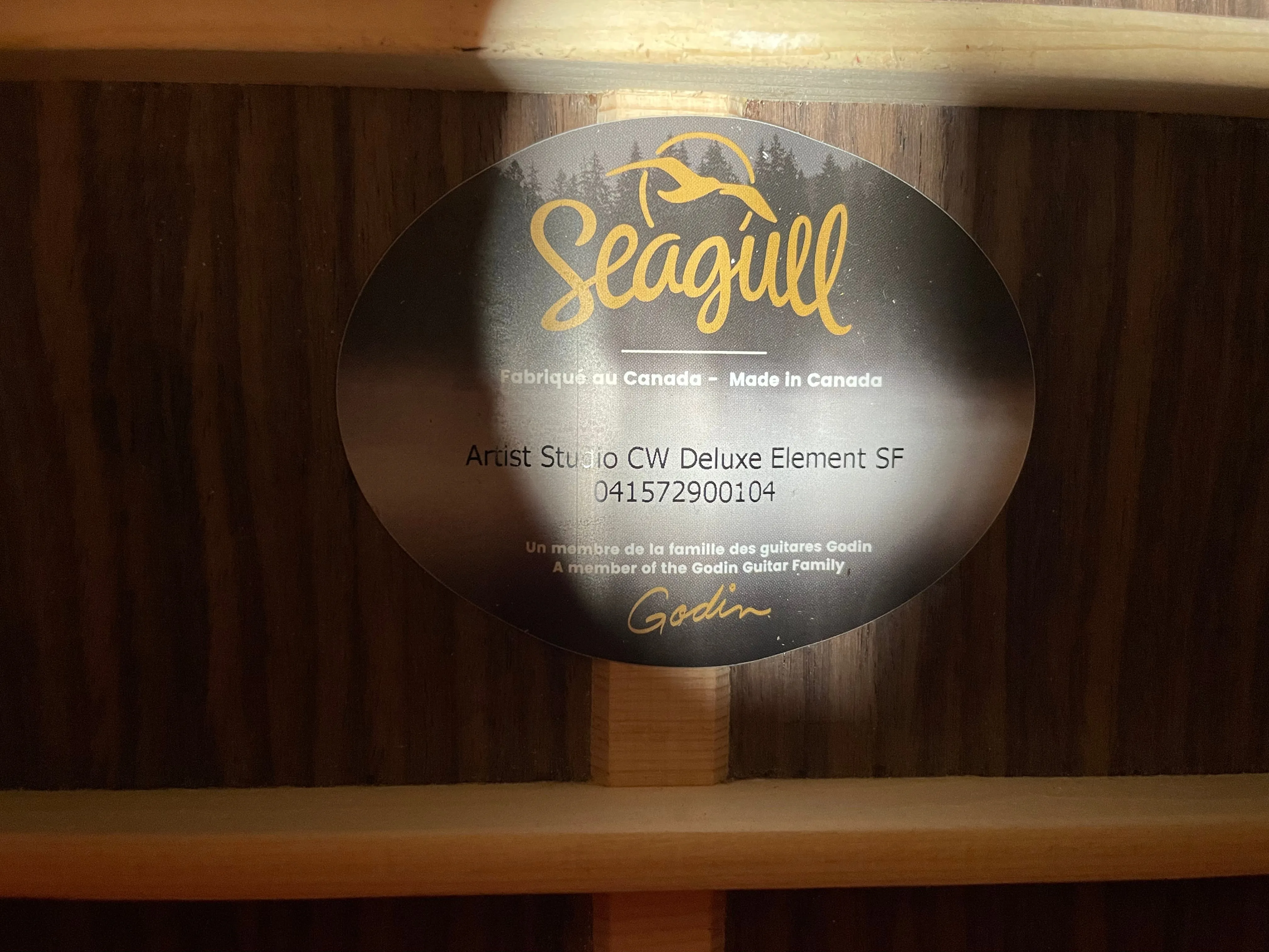 Seagull Artist Studio CW Deluxe Element CF Used