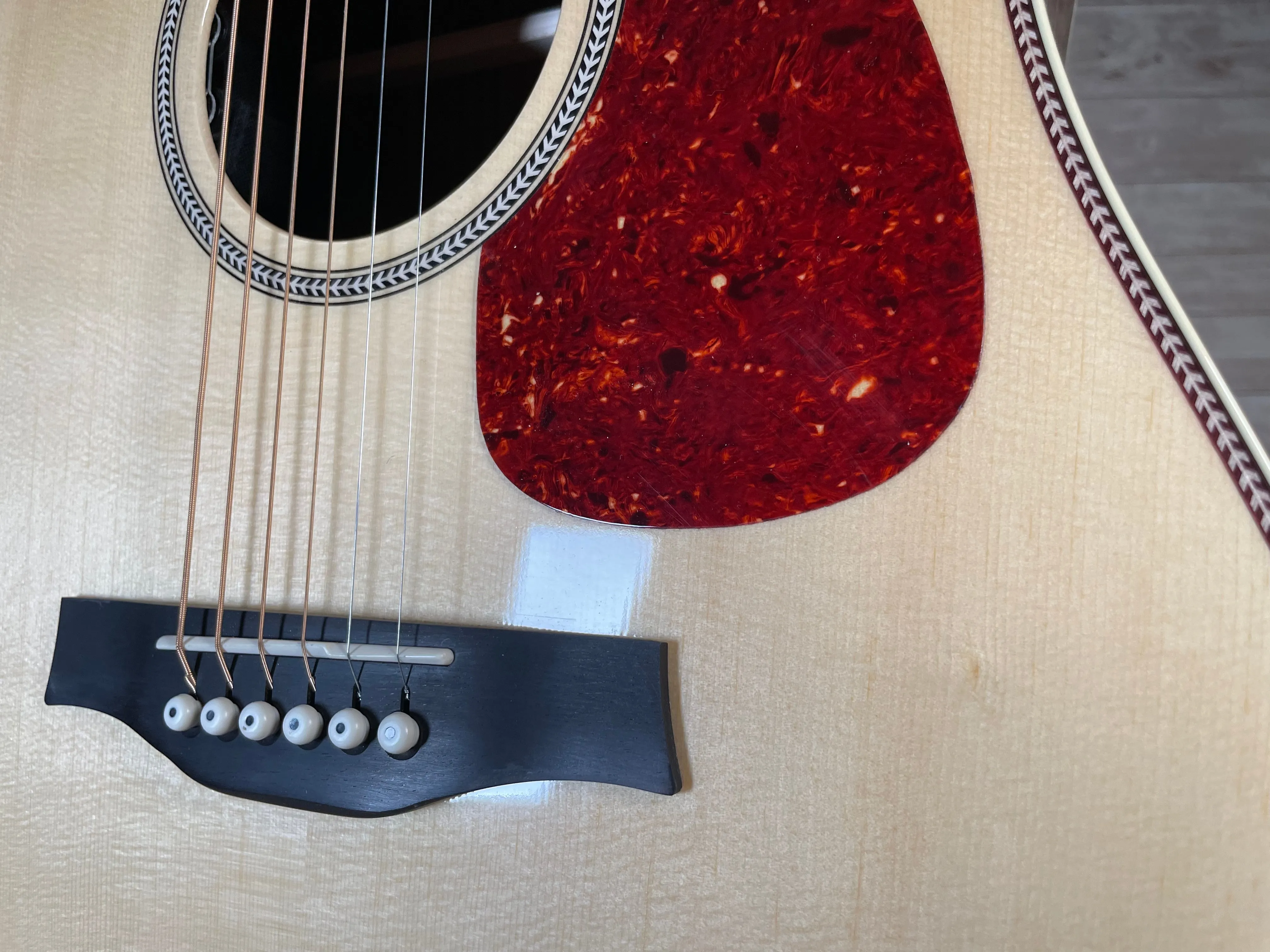 Seagull Artist Studio CW Deluxe Element CF Used