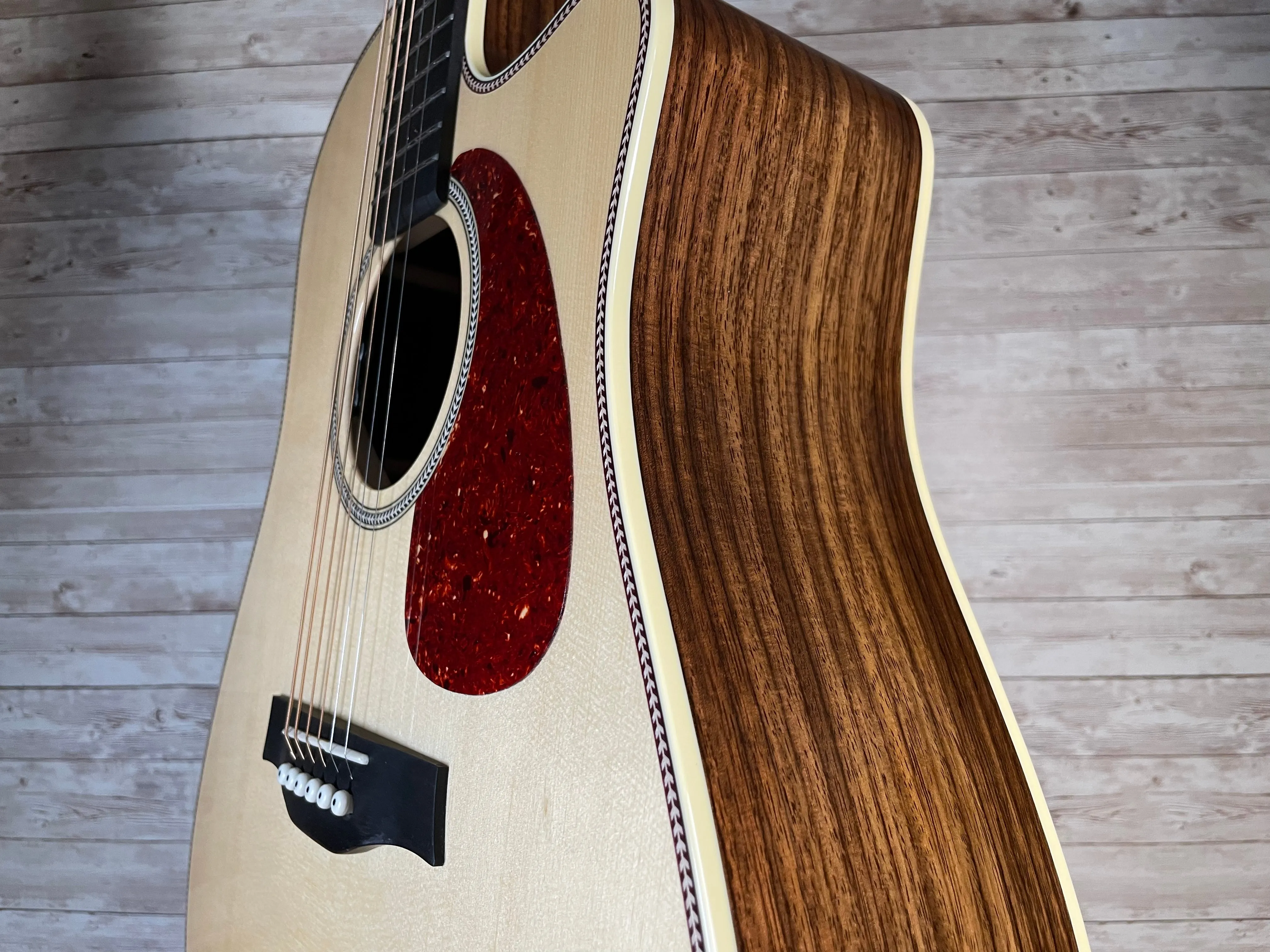 Seagull Artist Studio CW Deluxe Element CF Used