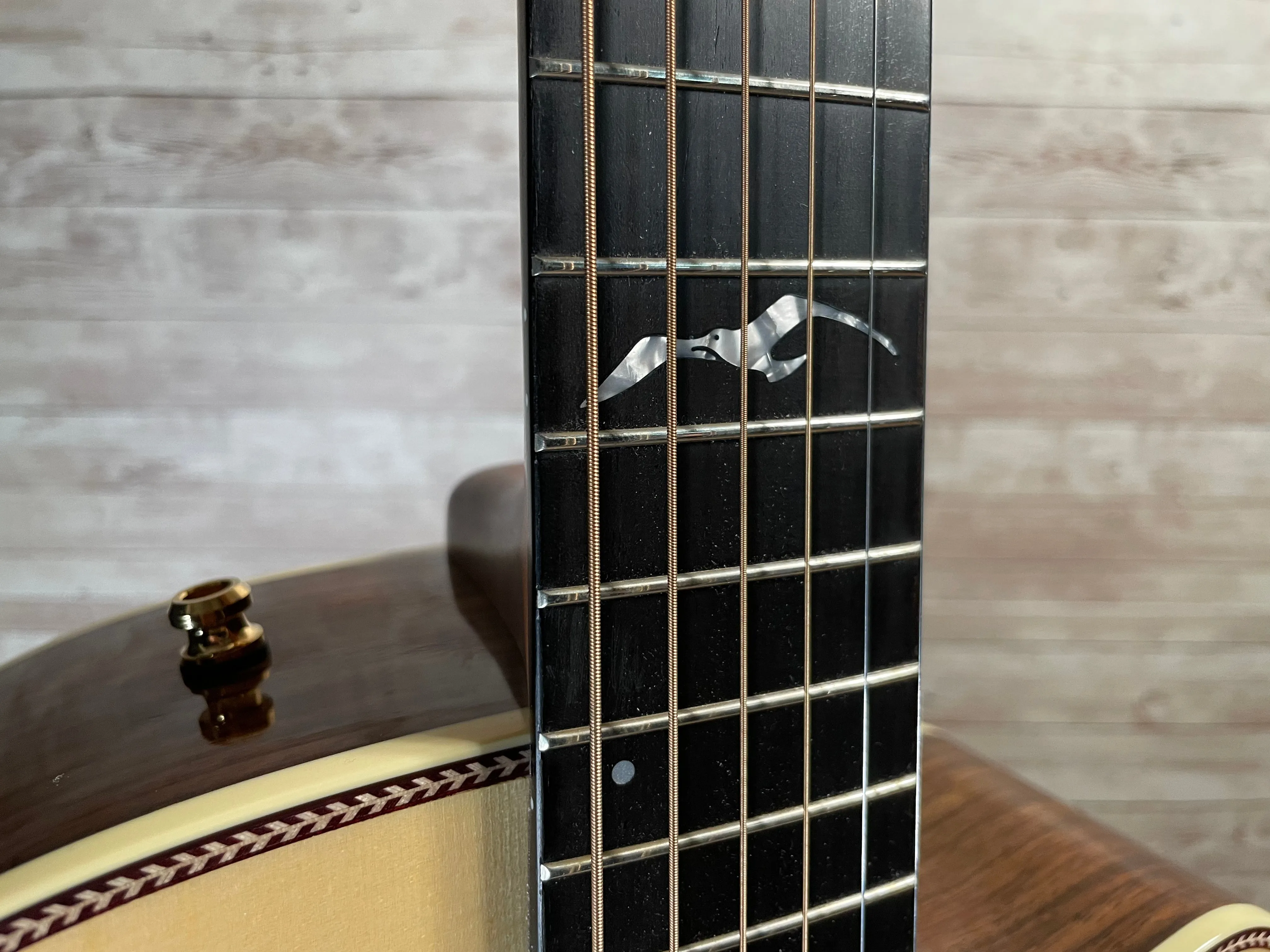 Seagull Artist Studio CW Deluxe Element CF Used