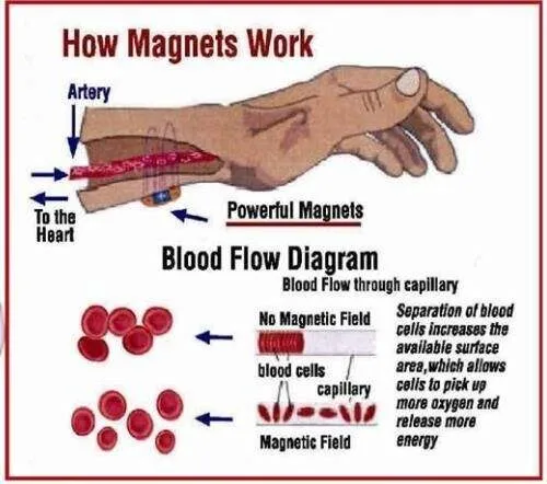Stainless Steel Heart Magnetic Bracelets