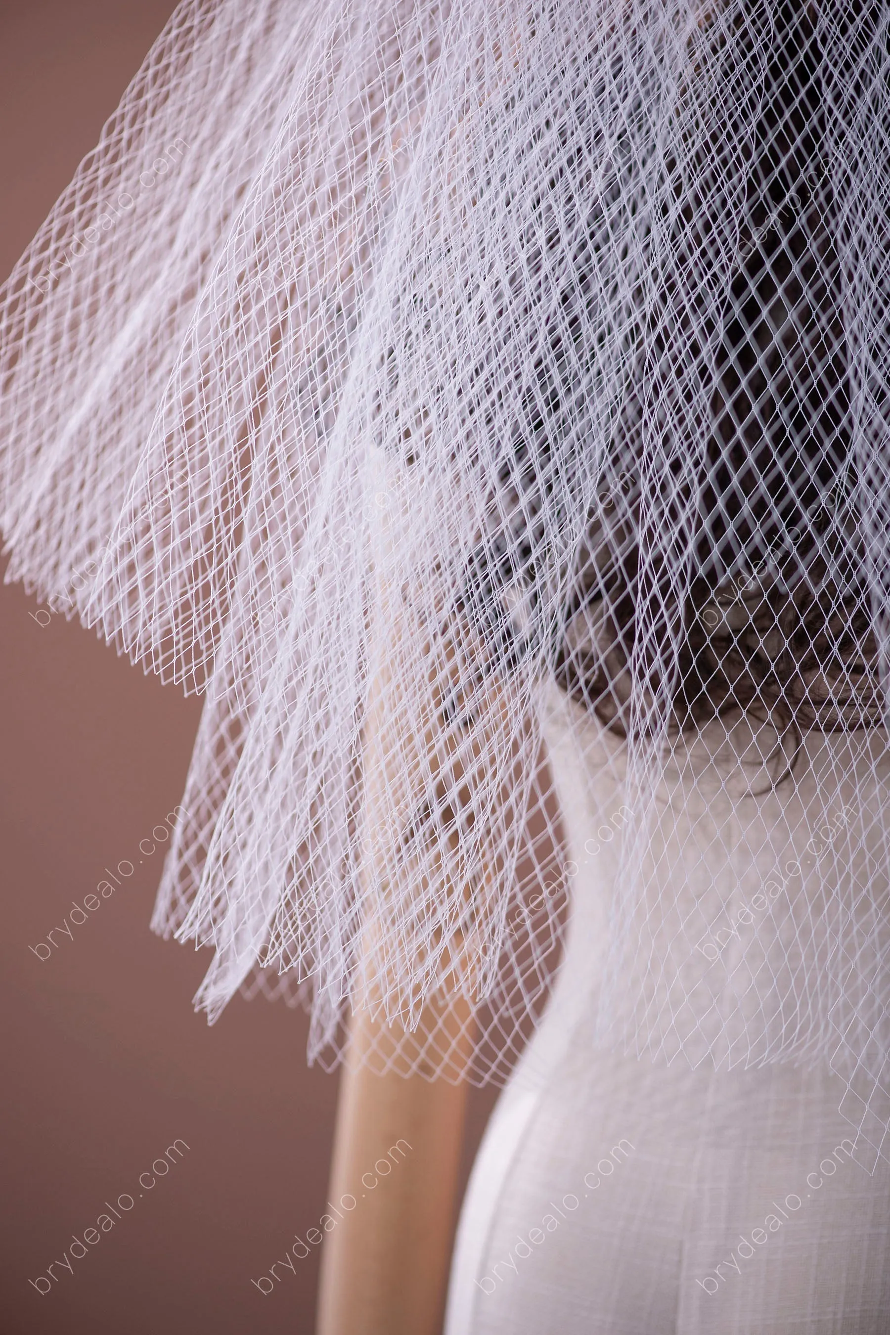 Unique Rhombic Net Elbow Bridal Veil