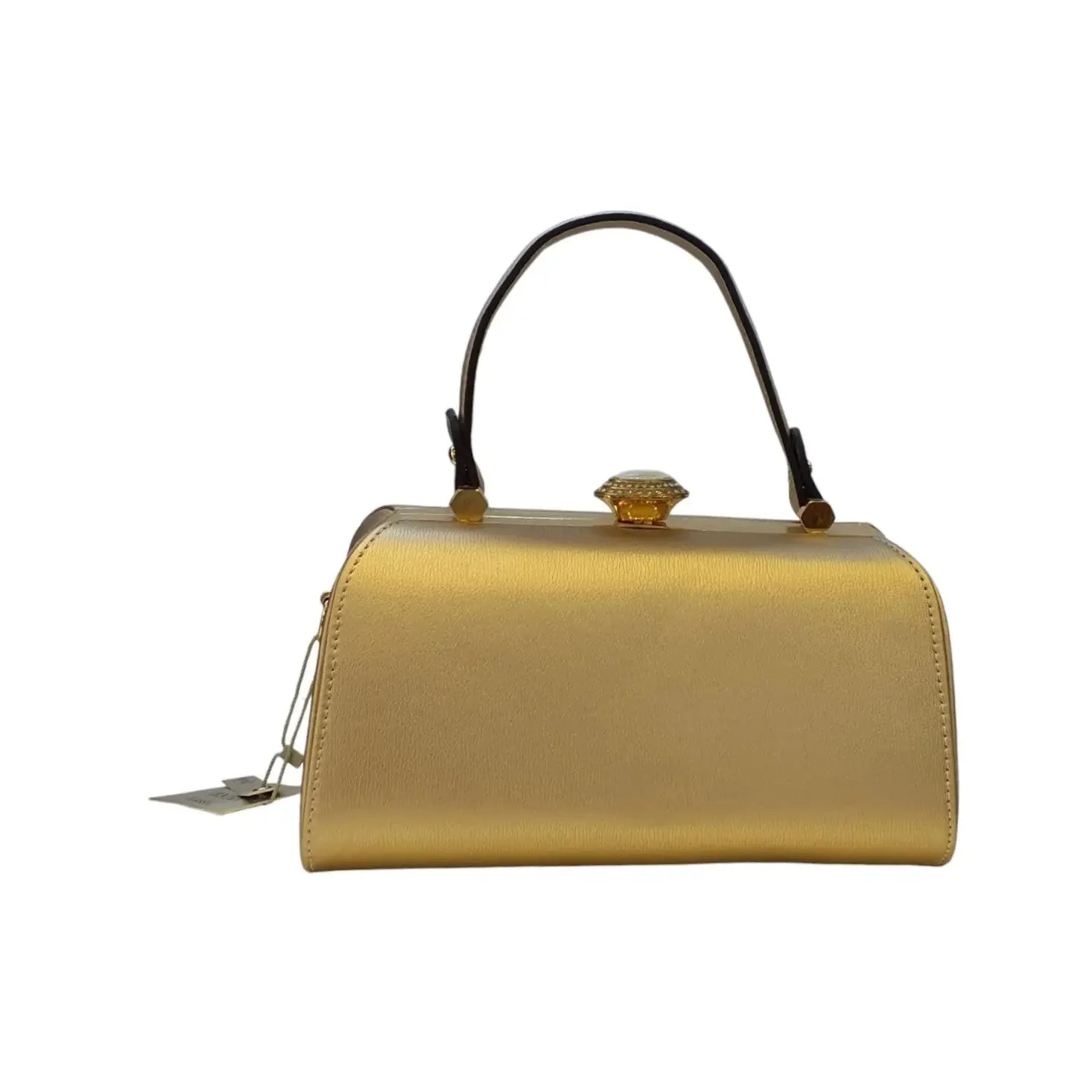 Vernika Vintage Clasp Closure Mini Handbag